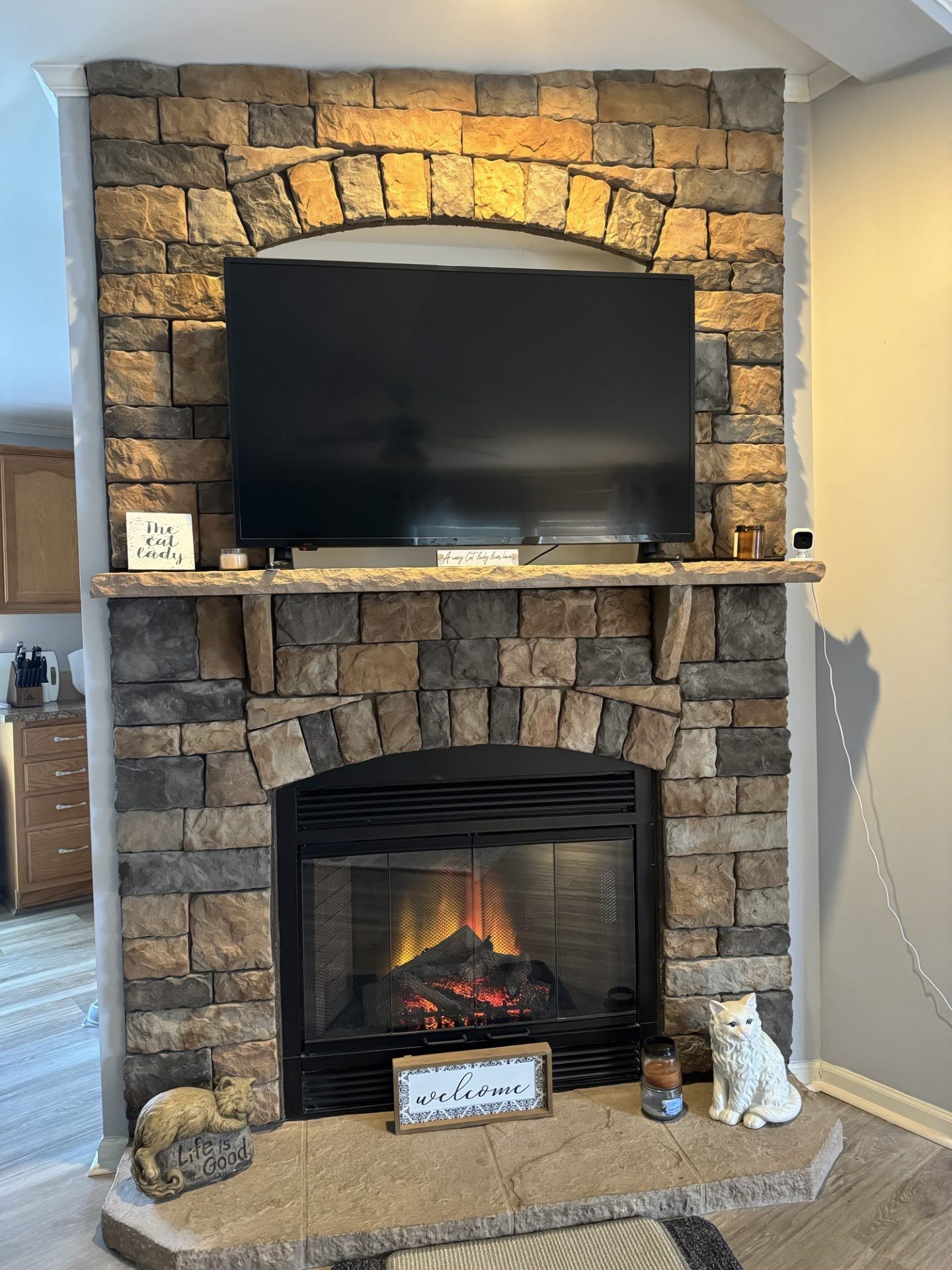 LR Fireplace